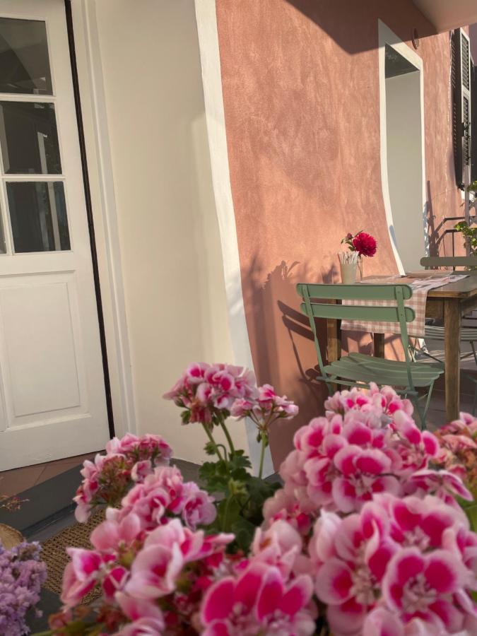 Ti Vengo A Cercare Bed & Breakfast คาสเตลลาโร ภายนอก รูปภาพ